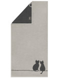Coppia di asciugamani in spugna Cute Cats  | CAWO